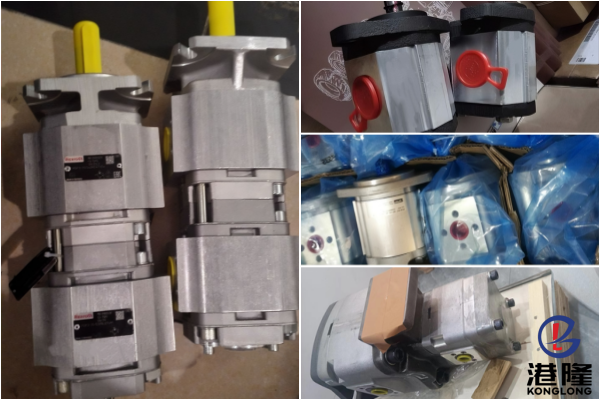 ROQUET齒輪泵產品目錄,型號及參數